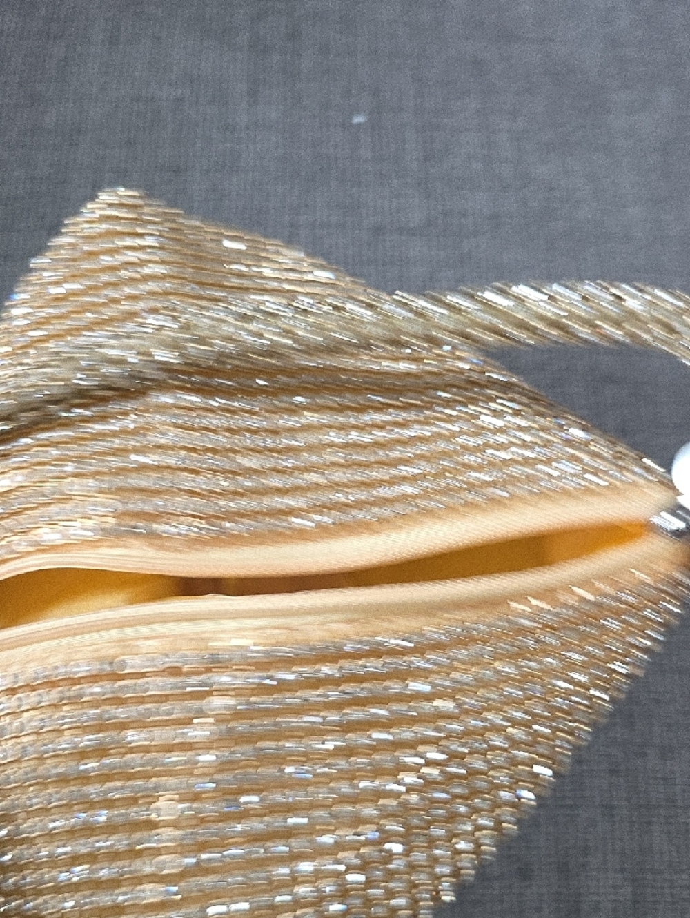 Babeyond Gold Crystal-Embellished Evening Bag, NWT, Prom Or Wedding - Picture 8 of 14